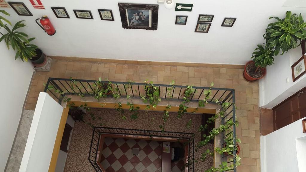 El Rincon De Carlota Guest house *