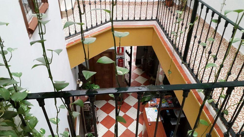 El Rincon De Carlota * Seville