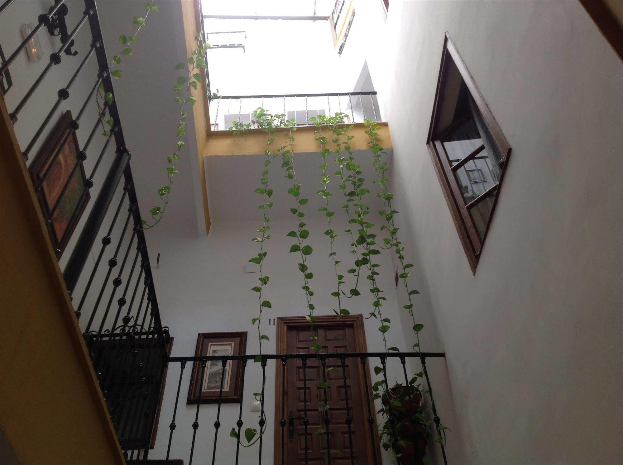 El Rincon De Carlota Guest house